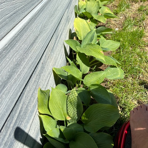 Meet your Posher, Andrea jameson - Picture 11 of 16